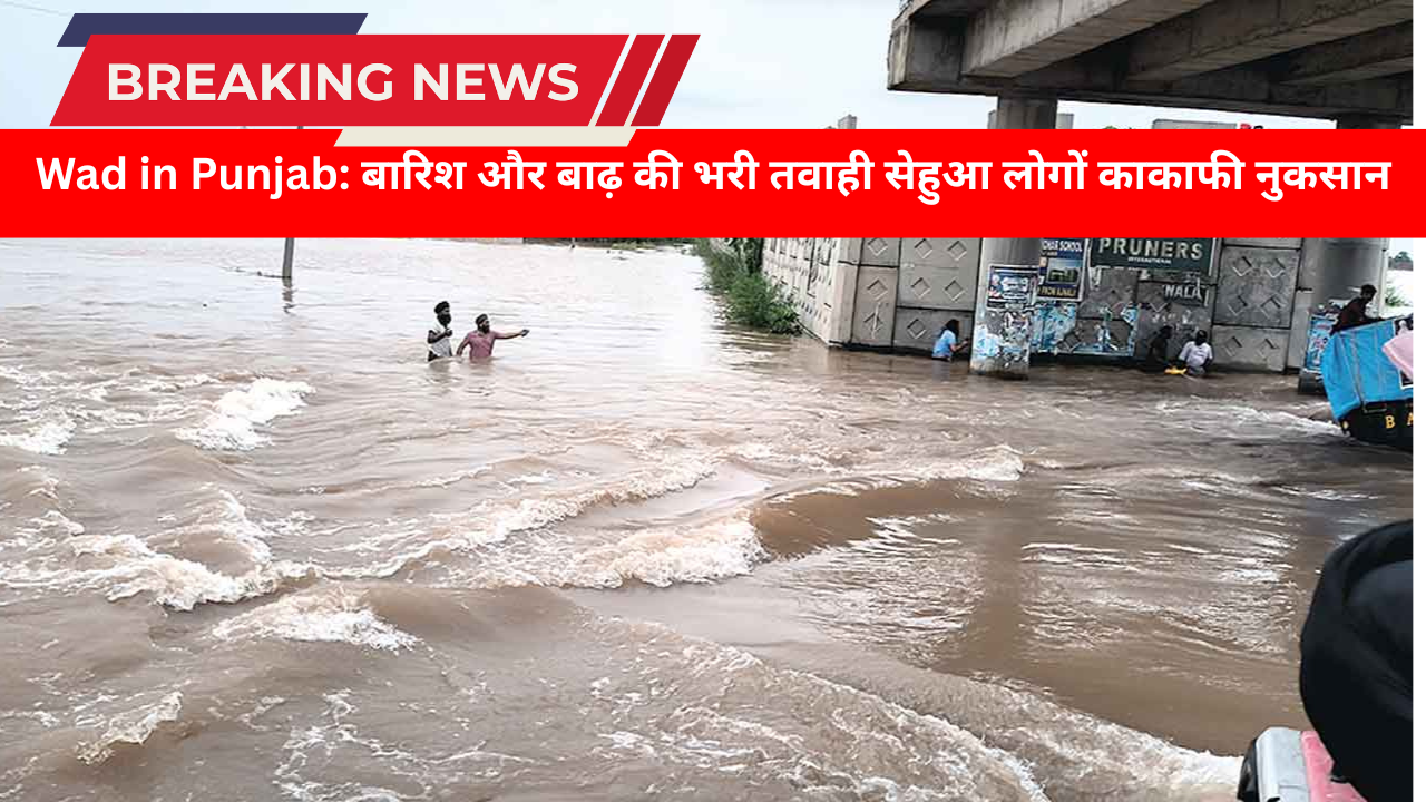 Wad in Punjab